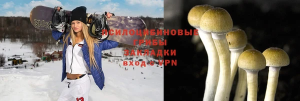 apvp Новодвинск