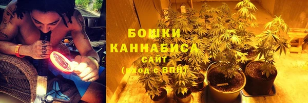 альфа пвп Новокубанск