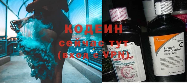 хмурый Няндома