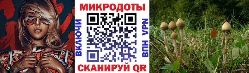 наркота  Новотроицк  ОМГ ОМГ вход  Псилоцибиновые грибы мухоморы 