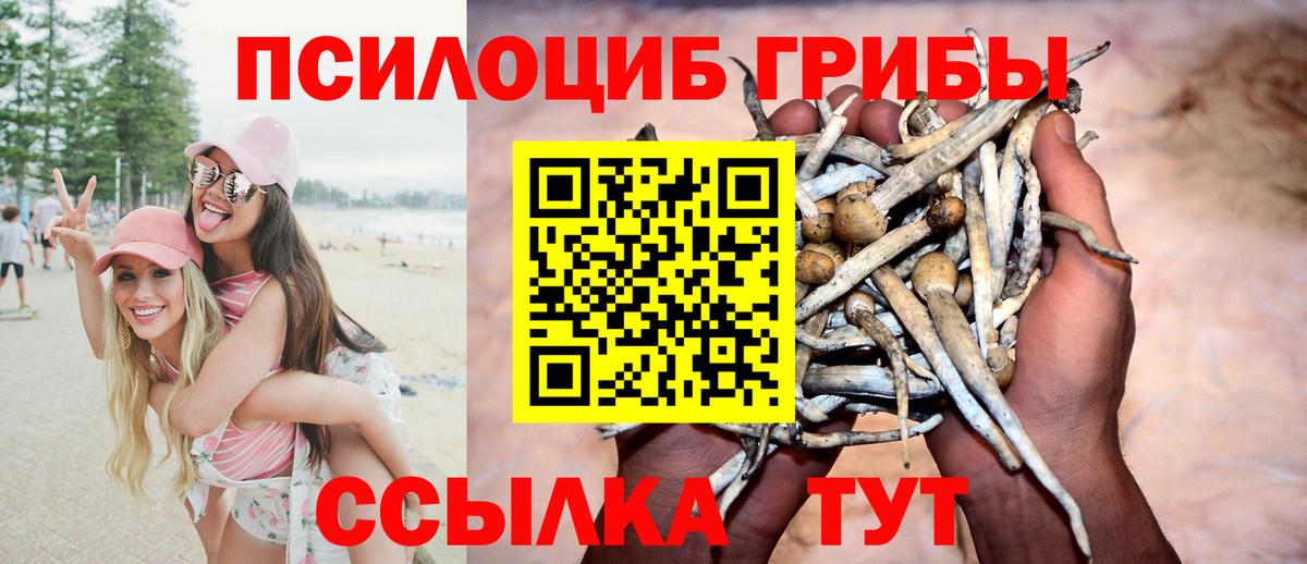 Псилоцибиновые грибы мухоморы Новотроицк